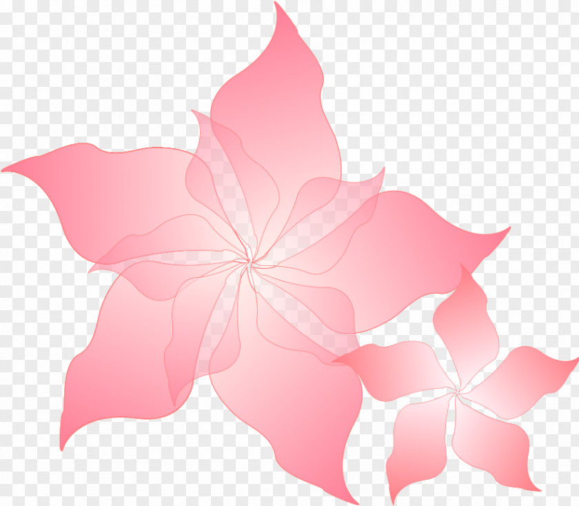 Perennial Plant Symmetry Pink Flower Cartoon PNG