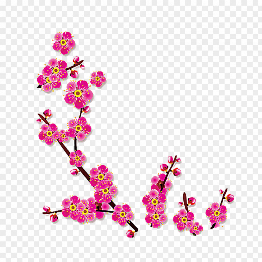 Plum Flower Download PNG