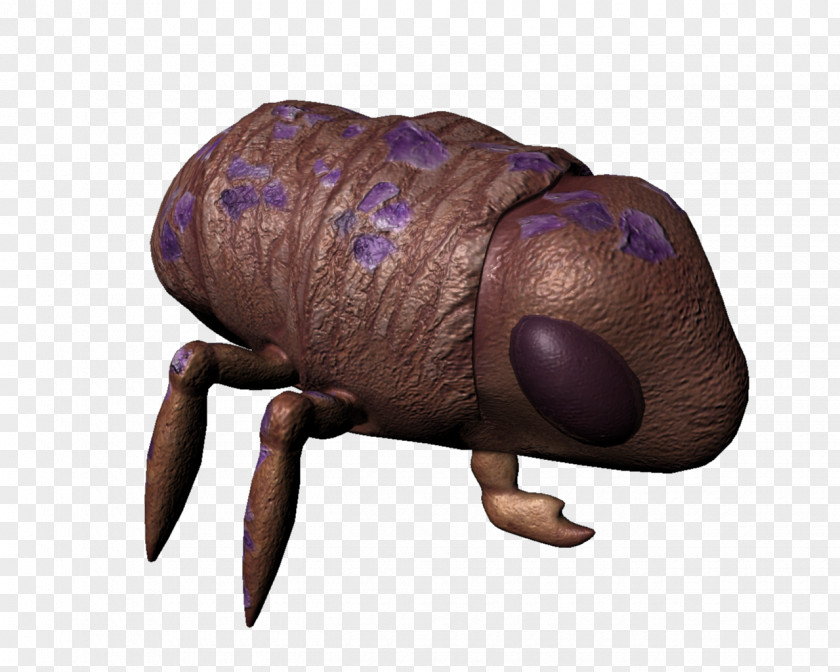 Texture Mapping UV Insect Walk Cycle Cicadas PNG