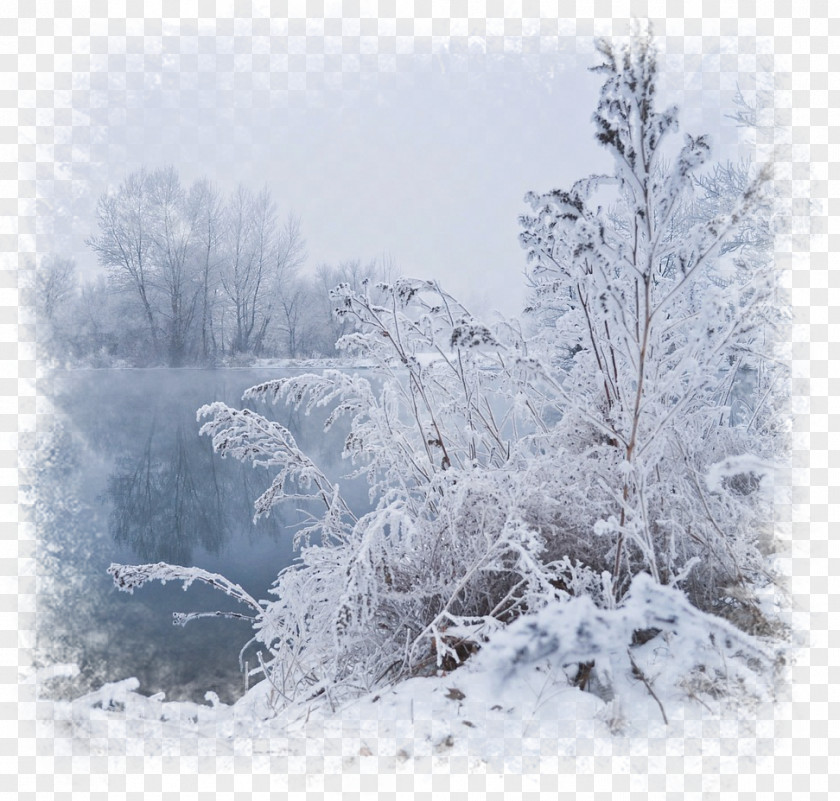 Winter Scene Fog Desktop Wallpaper PNG