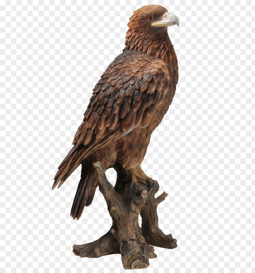 Bird Bald Eagle Golden Sculpture PNG