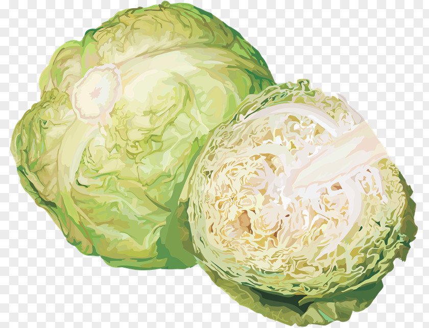 Cabbage Savoy Cauliflower Vegetable PNG