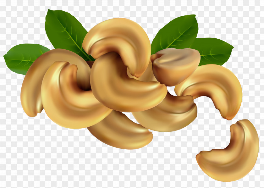 Cashew Nuts Clipart Image Nucule Royalty-free Stock Illustration PNG