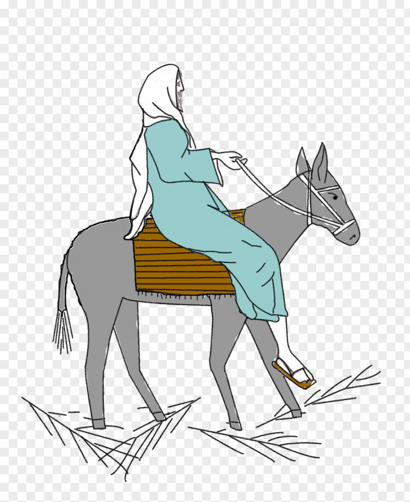 Donkey Mule Pony Mustang Pack Animal Bridle PNG