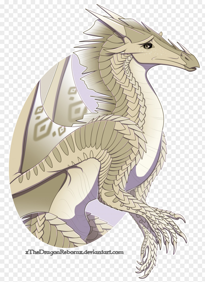 Dragon Darkness Of Dragons Wings Fire Drawing Art PNG