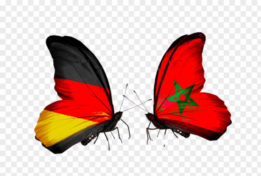 Flag Painted Two Butterflies Of Germany National Stock Photography PNG