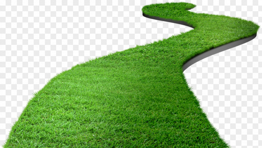 Grass Elements Lawn Download Computer File PNG