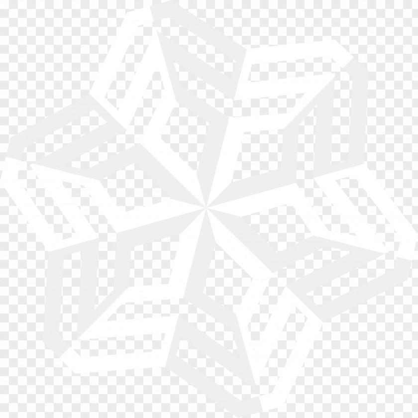 Gray Simple Snowflake Pattern White Symmetry Black PNG