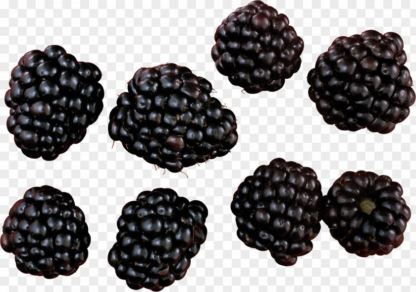 Blackberry PNG