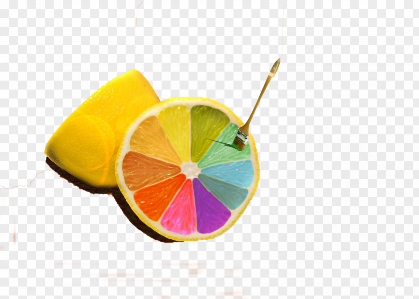 Lemon Paint Brushes Web Development Creativity Innovation Business PNG