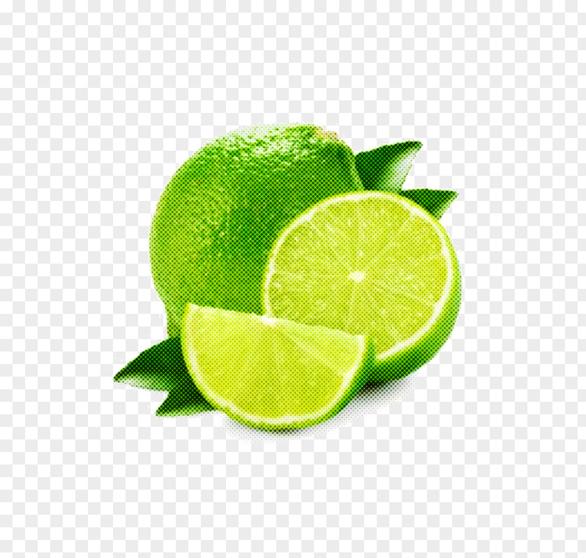 Plant Food Lime Key Persian Green Lemon-lime PNG