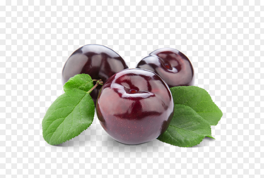 Plum Fruit Clip Art PNG