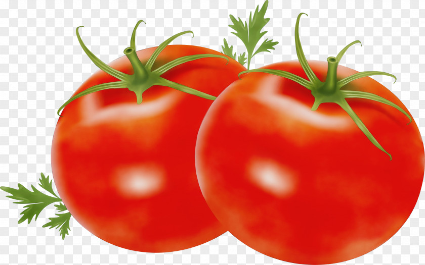Plum Tomato Plant PNG