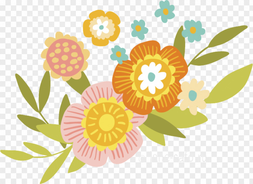 Camomile Daisy Floral Flower Background PNG