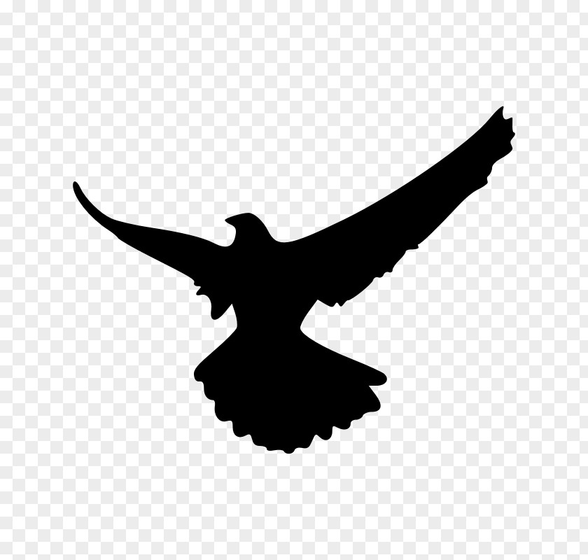 Falcon Silhouette Clip Art PNG