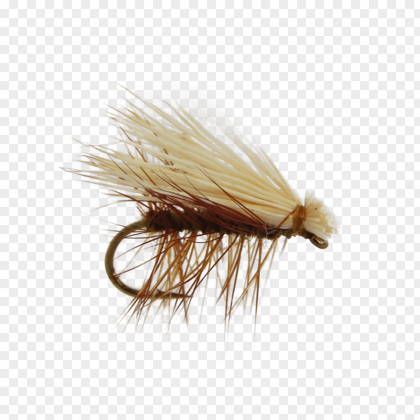 Fly Elk Hair Caddis Dry Fishing Caddisflies Artificial PNG