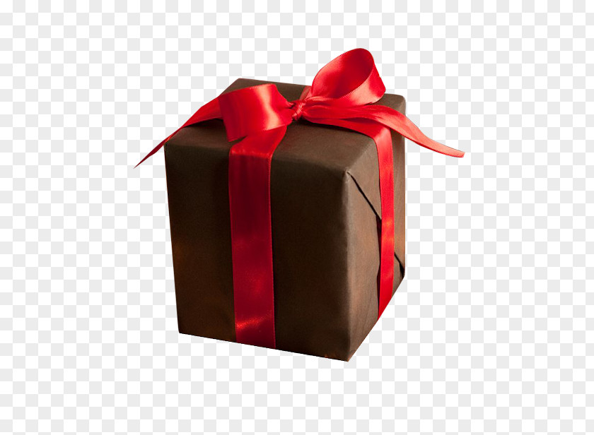 Gift Christmas .net .de PNG