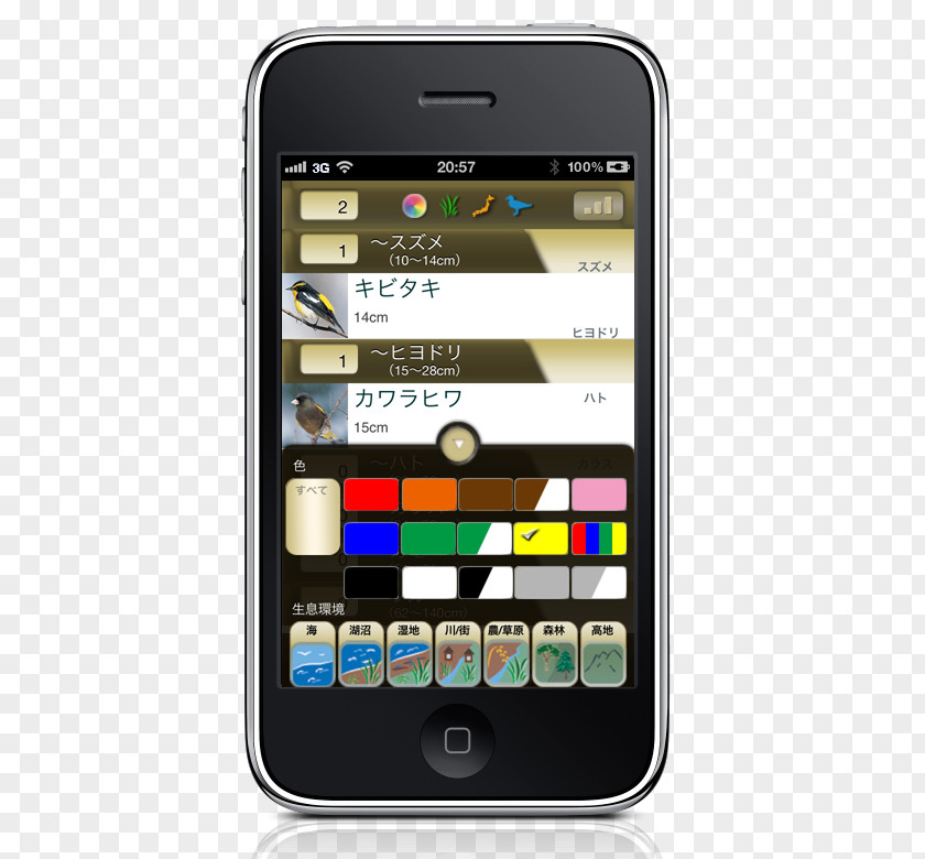 JapBirds Feature Phone New Society Smartphone App Store Apple PNG