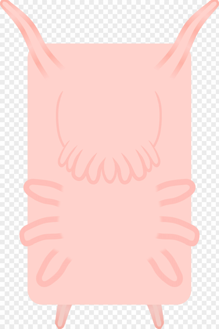 Pig Product Illustration Character Finger PNG