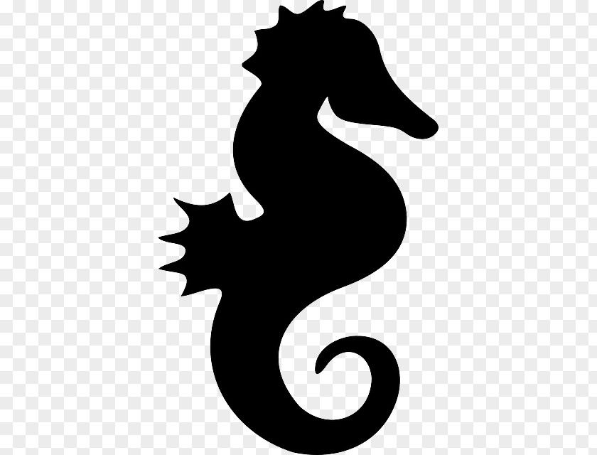 Seahorse PNG clipart PNG