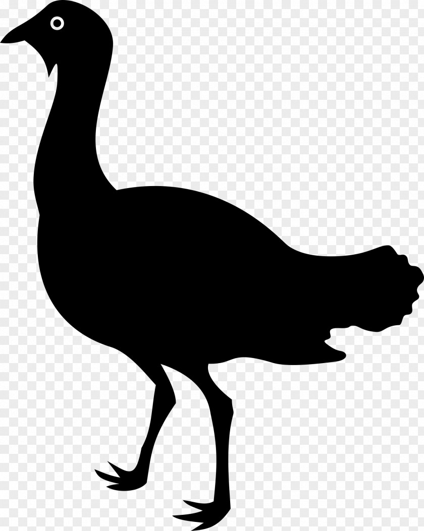 Small Animal Bird Goose Duck Silhouette Clip Art PNG