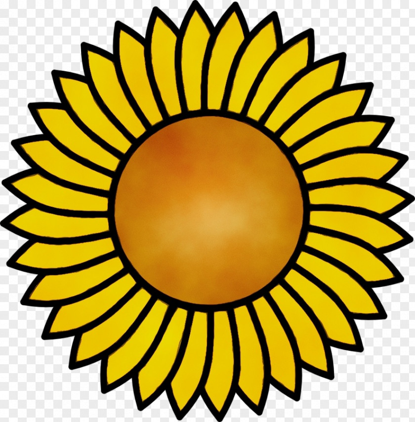 Sunflower Yellow PNG