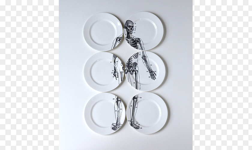 Chinese Bones Plate Tableware Human Skeleton Bone China PNG