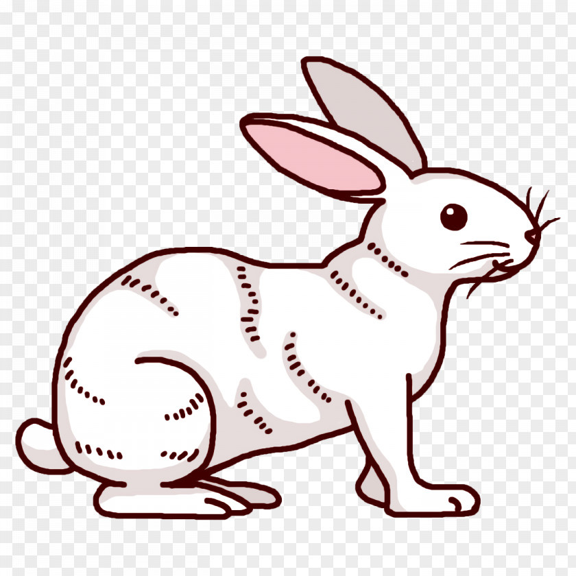 Rabbit Cartoon Roger Whiskers Line Art PNG