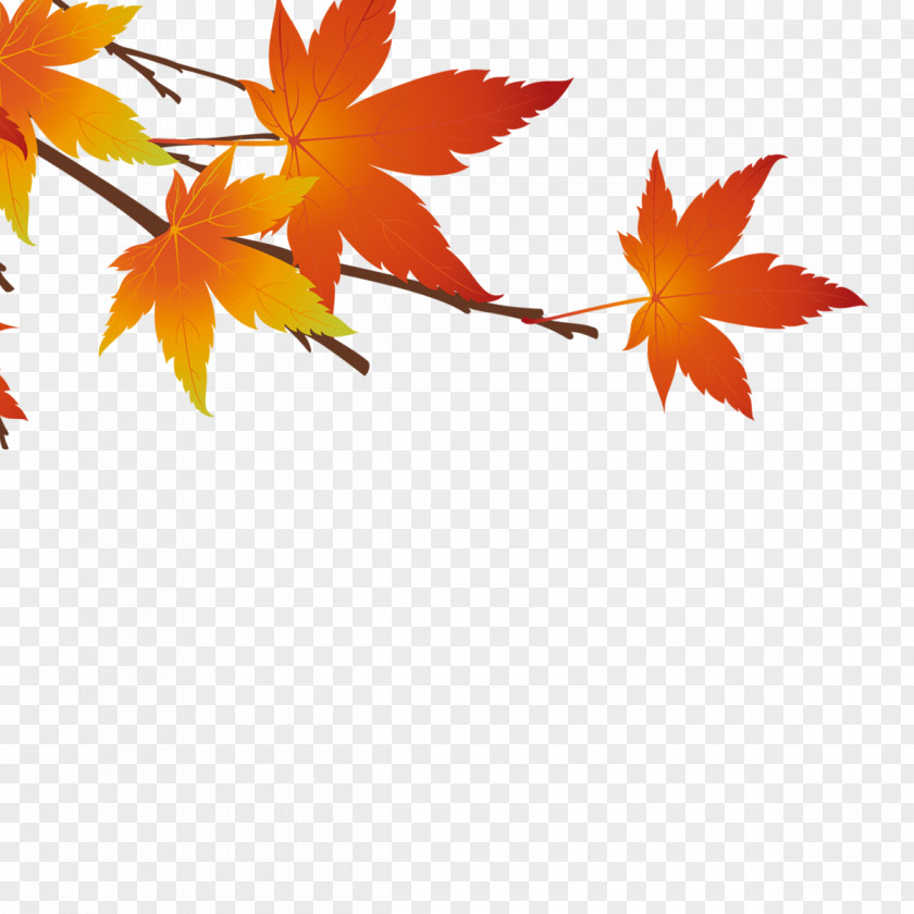 Red Maple Leaf Poster Image Resolution Wallpaper PNG