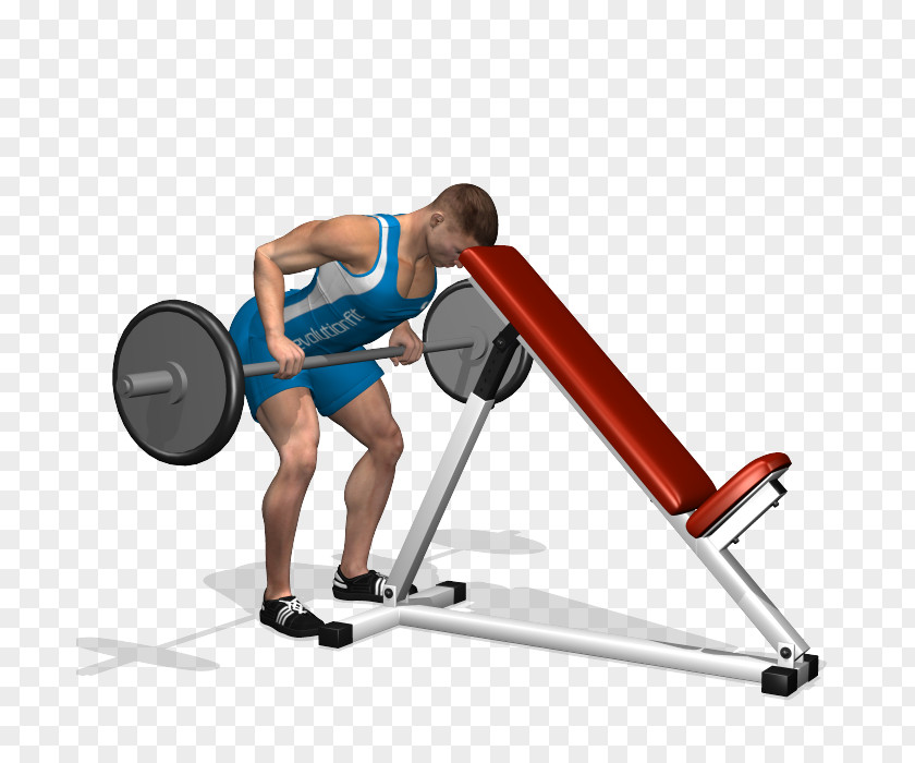 Super Strong Arm Muscles Weight Training Barbell Latissimus Dorsi Muscle Human Back PNG