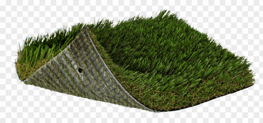 Turf Artificial Lawn Fescues Landscaping Garden PNG