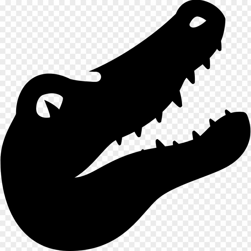 Vector Alligators PNG