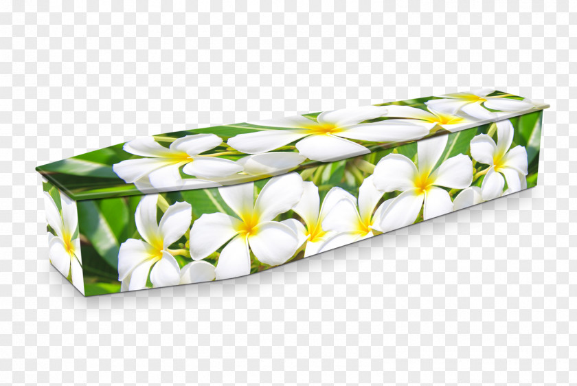 Frangipani Expression Coffins Funeral Home Director PNG