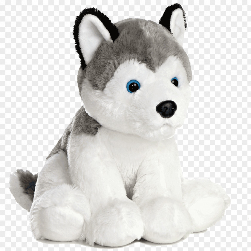 Husky Siberian Puppy Animal Pet PNG