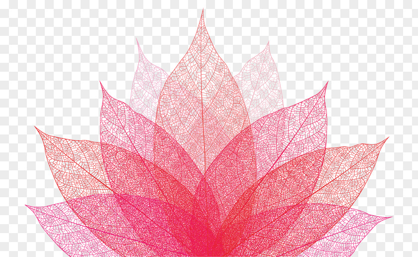Muslim Woman Petal Pink M Leaf Symmetry PNG
