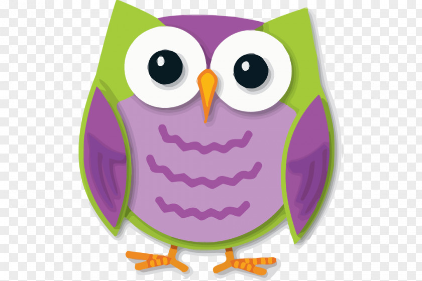 Owls Owl Cut-Outs Colorful Cut-outs Paper Amazon.com PNG