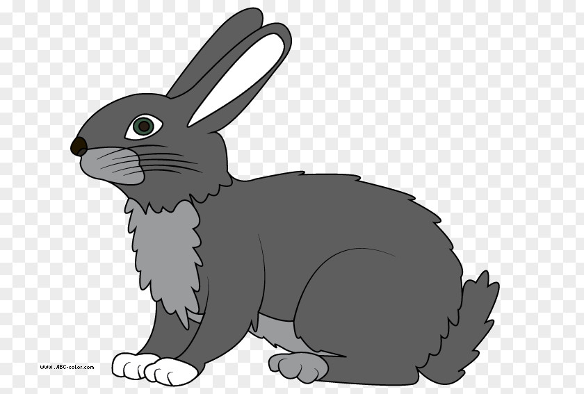 Rabbit Drawing The Tortoise And Hare Clip Art PNG