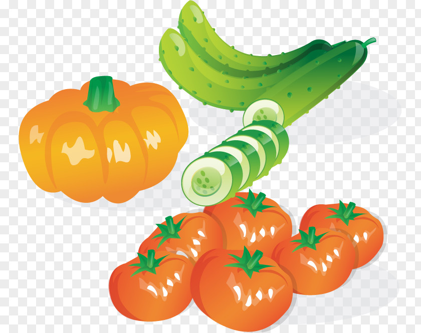 Tomato Cucumber Pumpkin Vector Material Leaf Vegetable Salad PNG