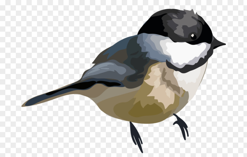 Bird Beak Watercolor Painting Clip Art PNG