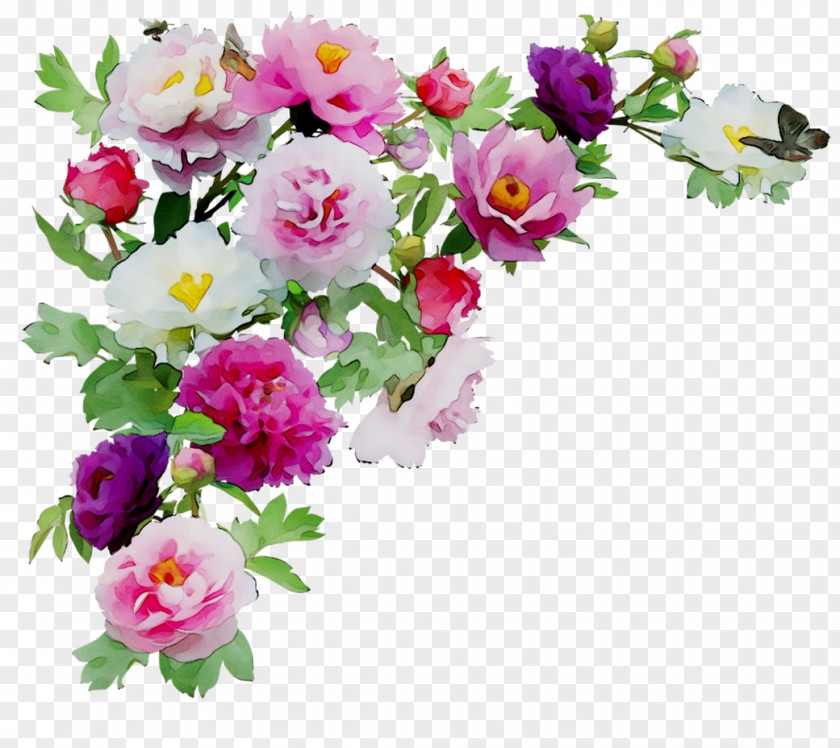 Borders And Frames Floral Design Clip Art Flower PNG