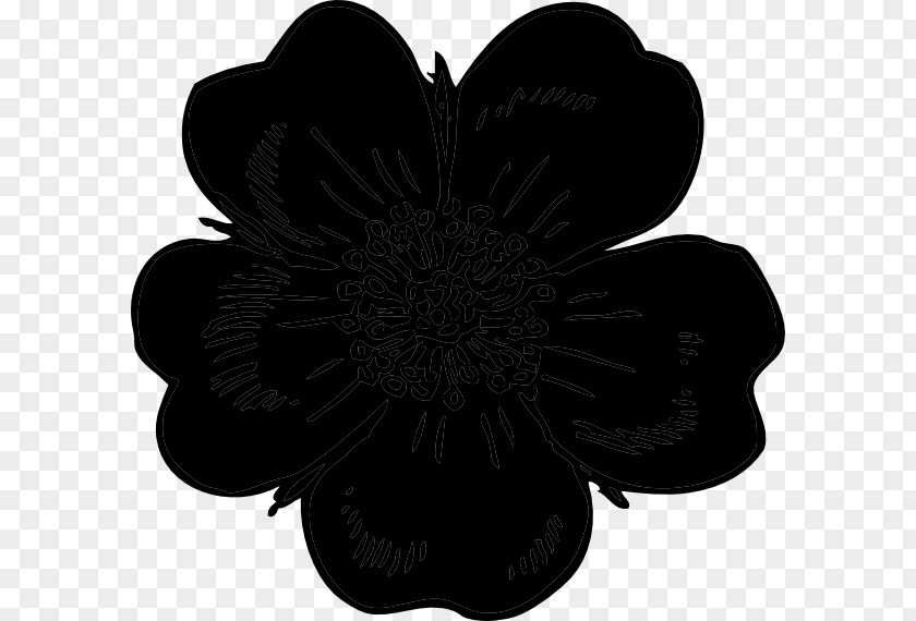 Cut Flowers Black M PNG