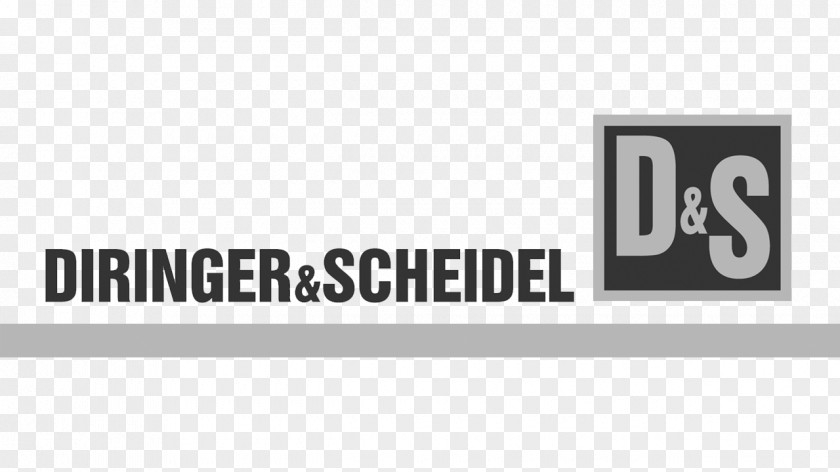 DIRINGER & SCHEIDEL GROUP Dessau Diringer Scheidel Rohrsanierung GmbH Co. KG EXPO REAL PNG