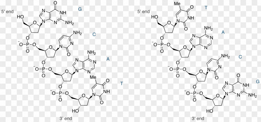 Double Helix A Personal Account Of The Discovery O Nucleic Acid Structure DNA Quilting PNG