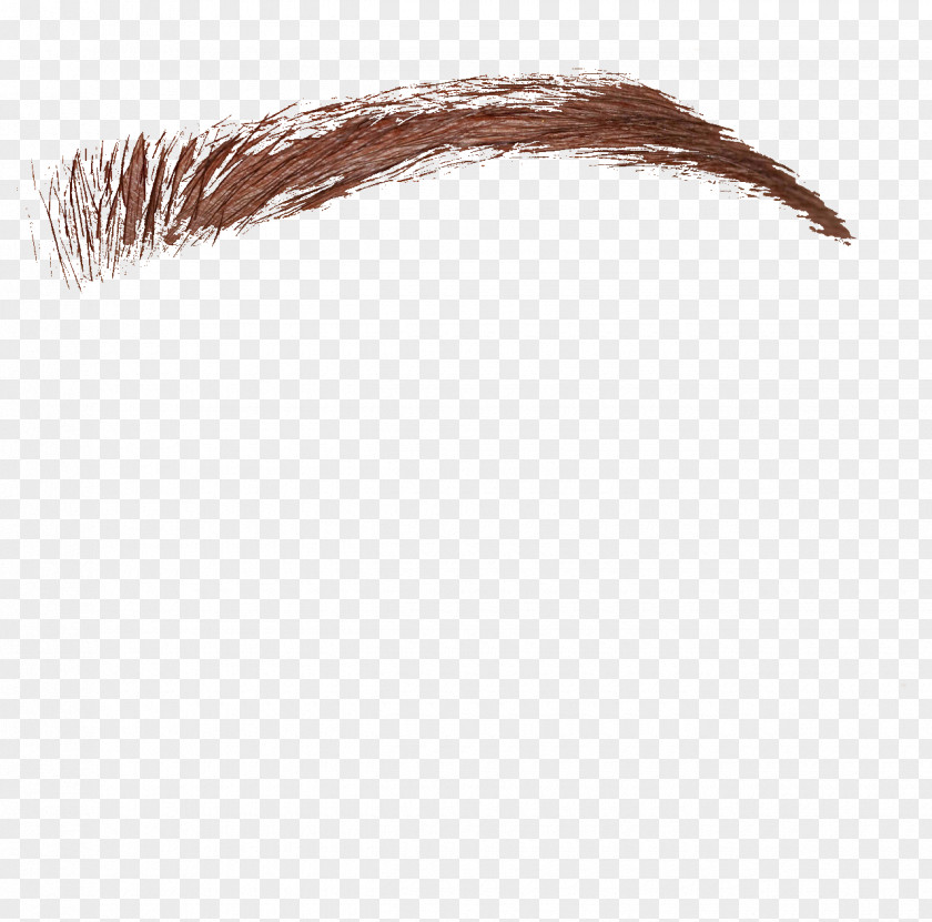 Eyebrow Eyelash Sticker Face PNG