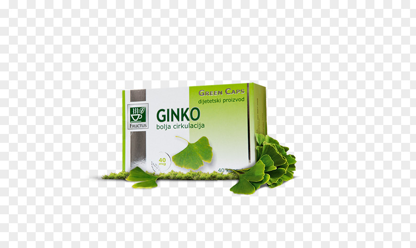 Ginko Herbalism PNG