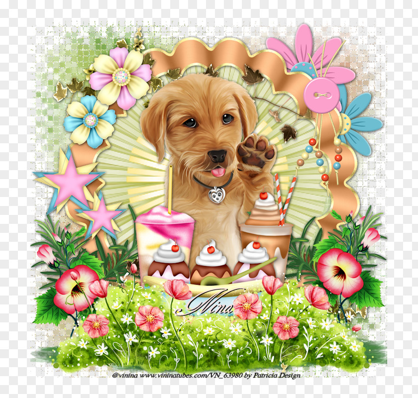 Golden Retriever Puppy Dog Breed Companion Sporting Group PNG