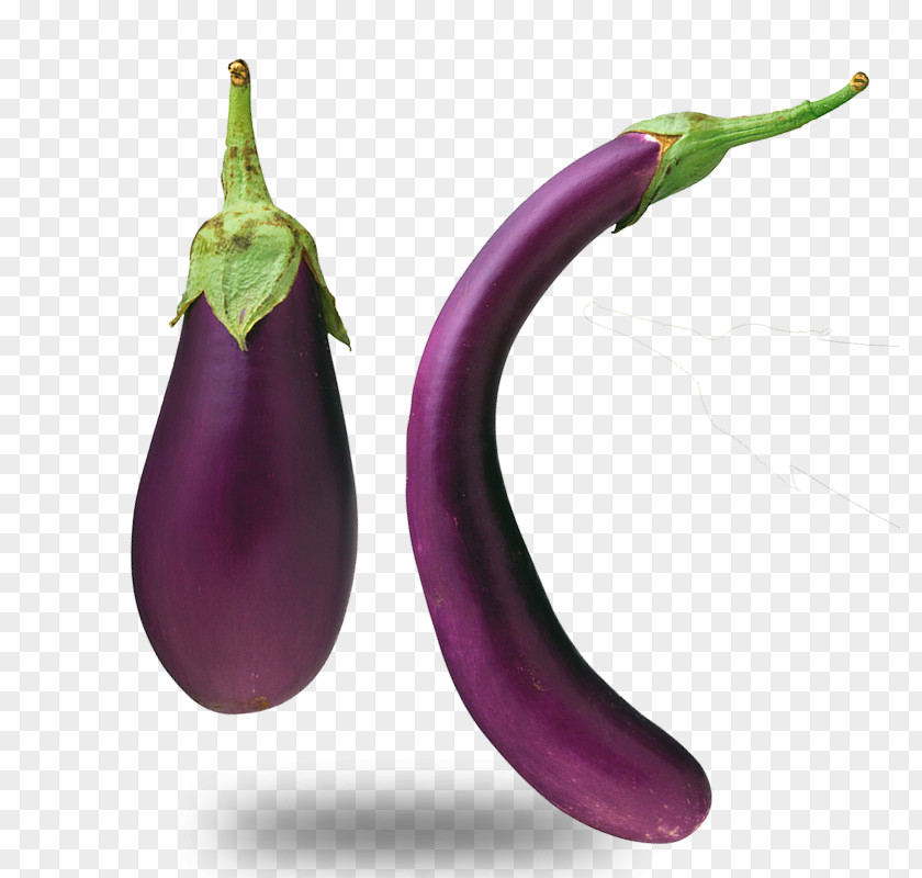 The Long Purple Eggplant Material Vegetable PNG