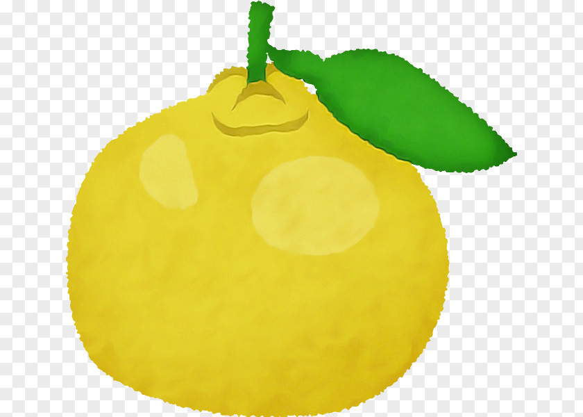 Christmas Ornament PNG