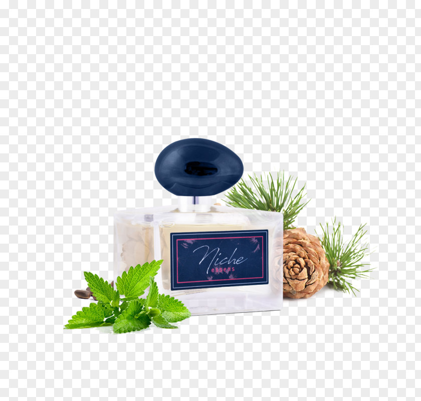 Perfume All About Cosmetics Sandalwood Essen PNG