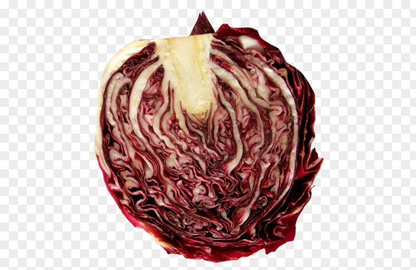 Radicchio Frame Chicory Vegetable Greens Food Cabbage PNG
